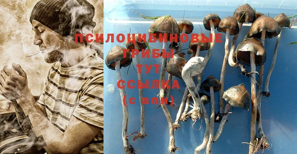 эйфоретик Алексин