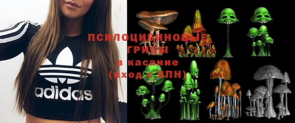 спиды Алексеевка