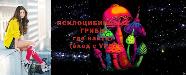 эйфоретик Алексин