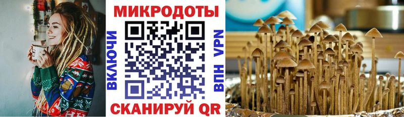 Галлюциногенные грибы Magic Shrooms Болхов